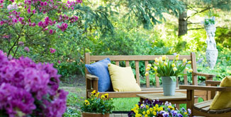 Gardening East Devon